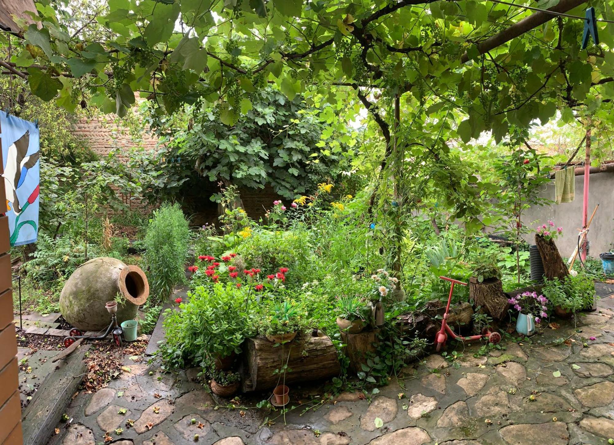 Sofya Hostel Сигнахи Екстериор снимка